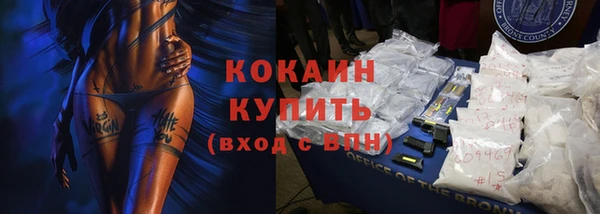 ПСИЛОЦИБИНОВЫЕ ГРИБЫ Горно-Алтайск