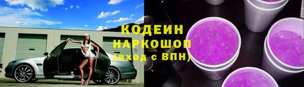 ПСИЛОЦИБИНОВЫЕ ГРИБЫ Горно-Алтайск