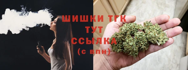 ПСИЛОЦИБИНОВЫЕ ГРИБЫ Горно-Алтайск