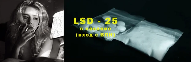 ПСИЛОЦИБИНОВЫЕ ГРИБЫ Горно-Алтайск