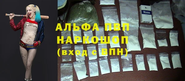 ПСИЛОЦИБИНОВЫЕ ГРИБЫ Горно-Алтайск