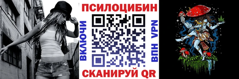 Псилоцибиновые грибы Psilocybe  Купить где  Абдулино 